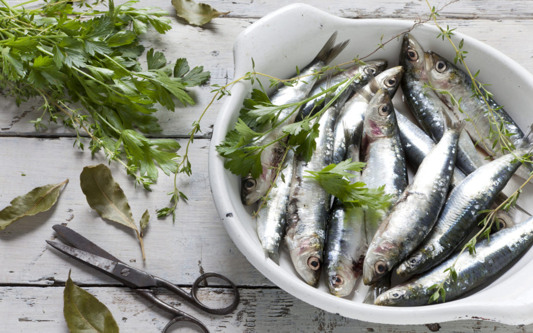 Why You Should Eat More Sardines