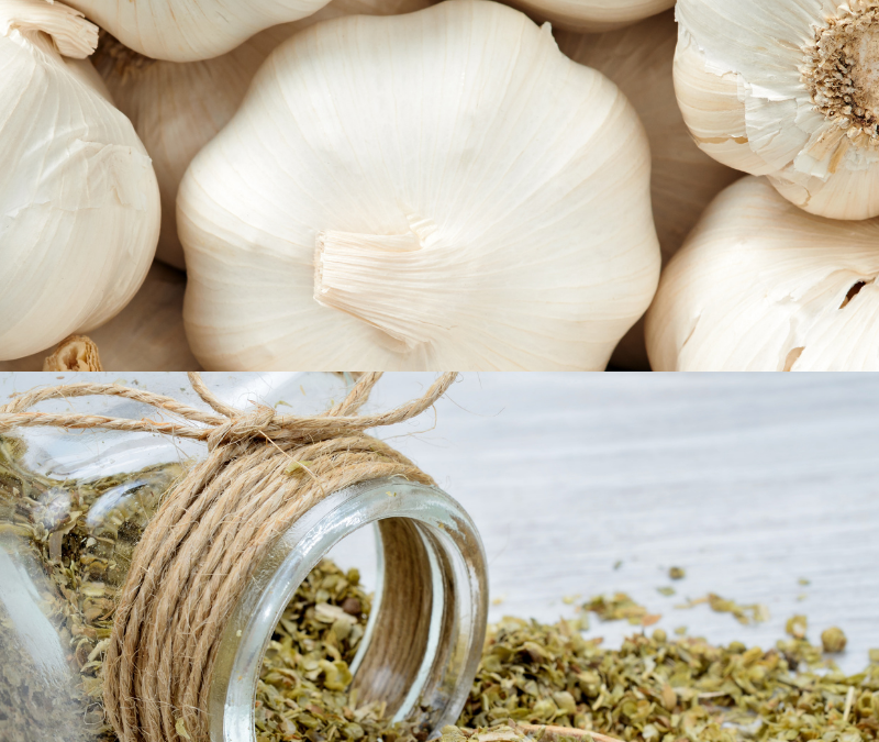 garlic and oregano help fight colds and flu