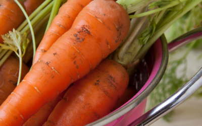 Health Benefits of a Daily Raw Carrot Salad