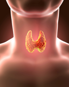 how to improve thyroid function