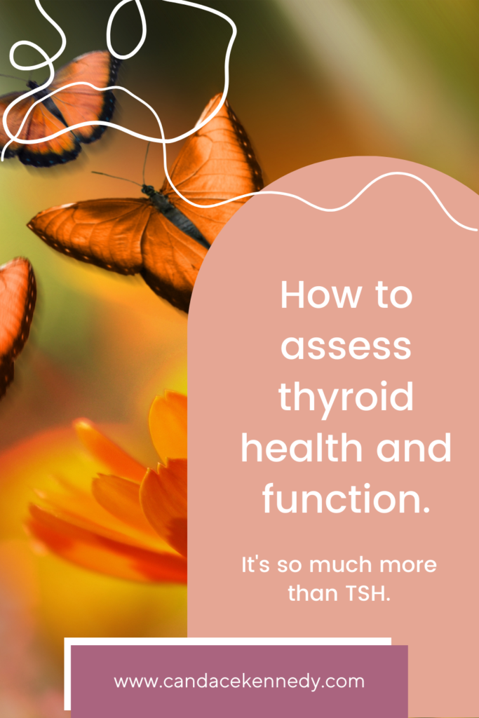 how to assess thyroid health and function